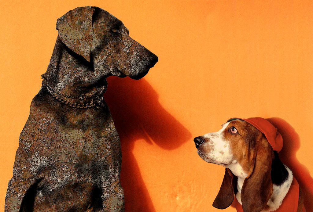 Photoshop-Design von NicolasGrignon für DesignCrowd (Community Contests) | Design #9103248