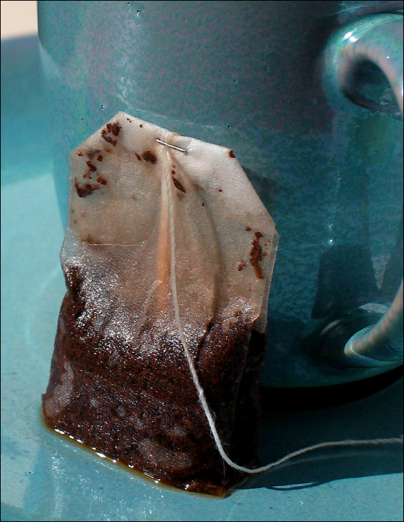 Photography by koalachimbo for DesignCrowd (Community Contests) | Design #9080434