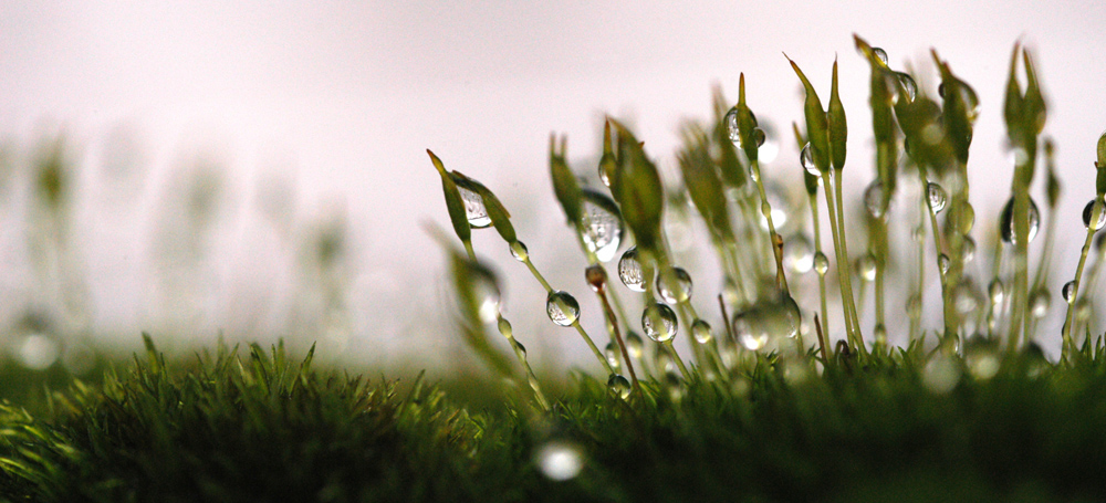 Photography by ianmakesbeer for DesignCrowd (Community Contests) | Design #9080498