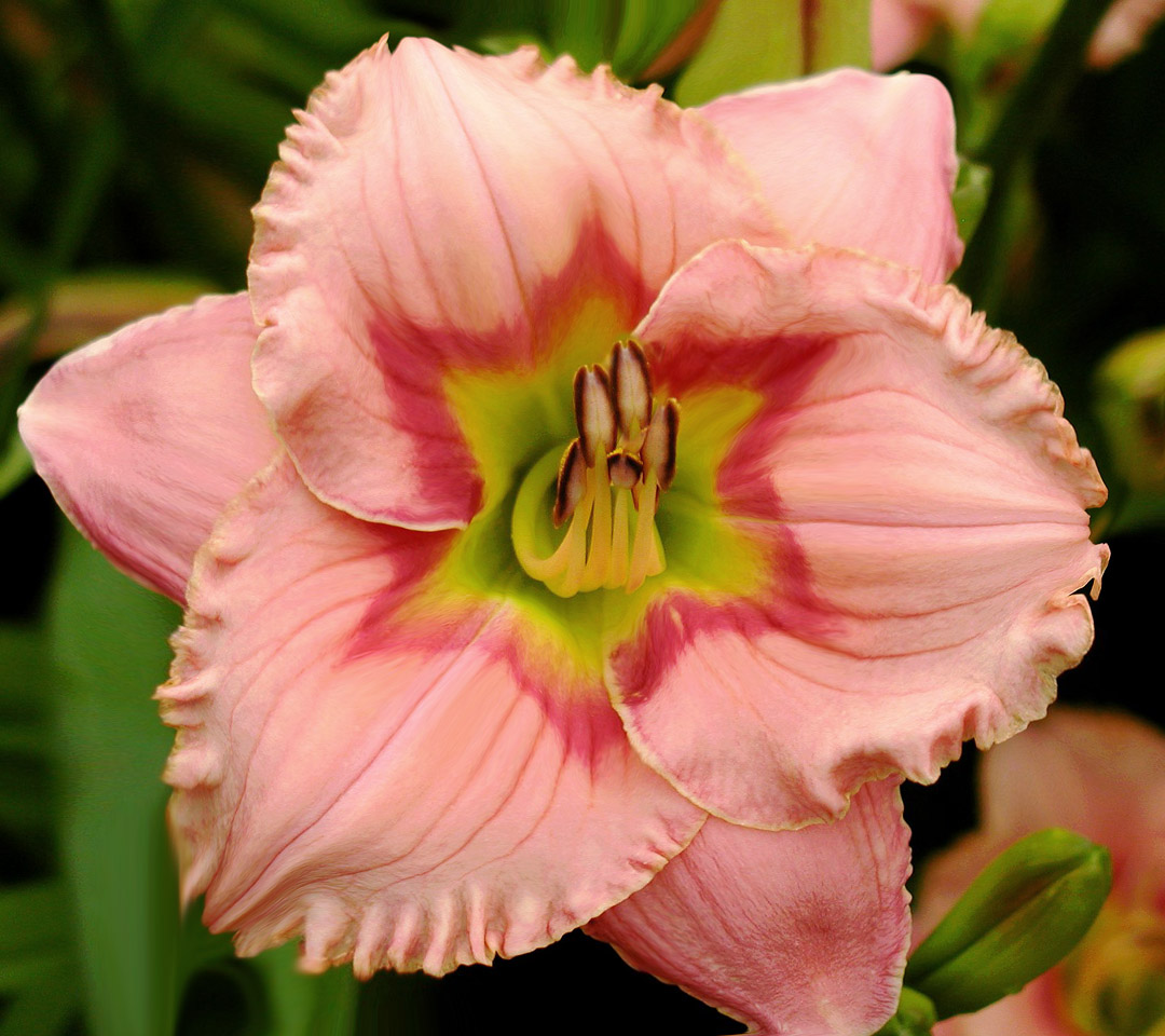 Design Photoshop par blueorb pour DesignCrowd (Community Contests) | Design #9106614