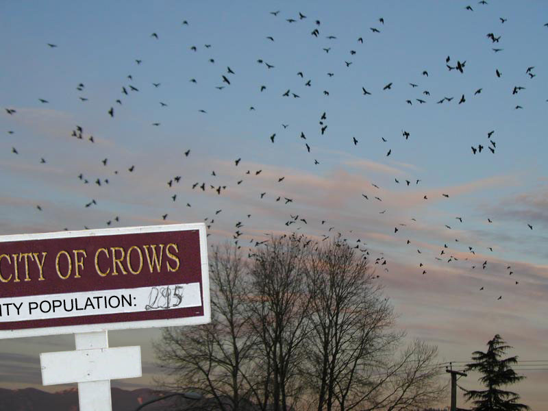 Design Photoshop par iwillenshofer pour DesignCrowd (Community Contests) | Design #9103366