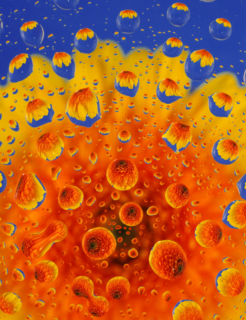 Photography by 1Mast1 for DesignCrowd (Community Contests) | Design #9089961