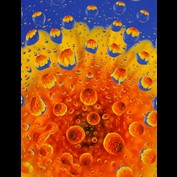 Photography by 1Mast1