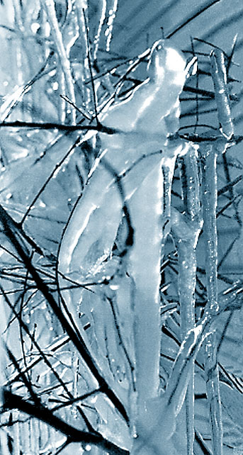 Fotografie von lahgon für DesignCrowd (Community Contests) | Design #9090004