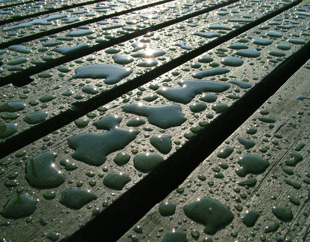 Photography by cycoze for DesignCrowd (Community Contests) | Design #9080467