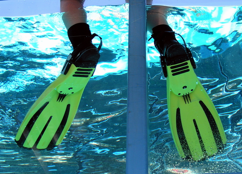 Photography by mzmzmzmz for DesignCrowd (Community Contests) | Design #9089972