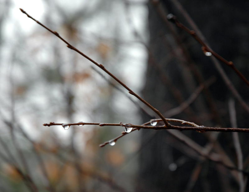 Fotografie von squeakers für DesignCrowd (Community Contests) | Design #9080614