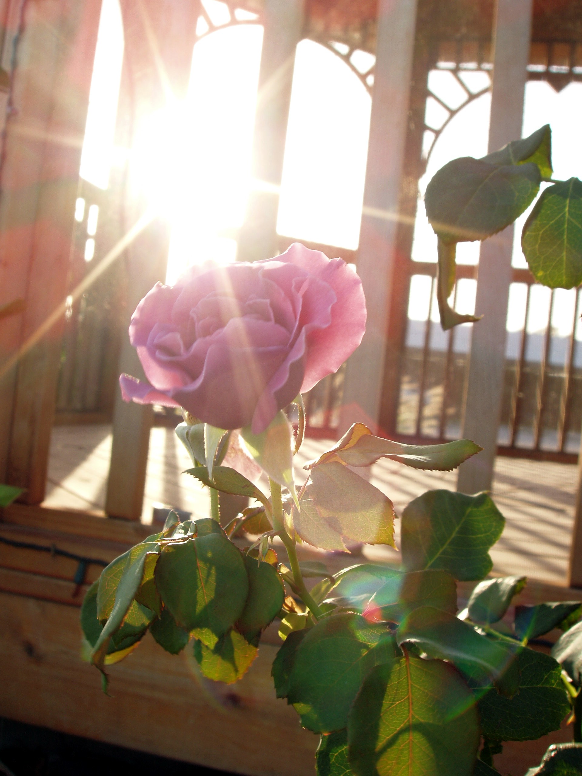 Photography by Storybook for DesignCrowd (Community Contests) | Design #9102755