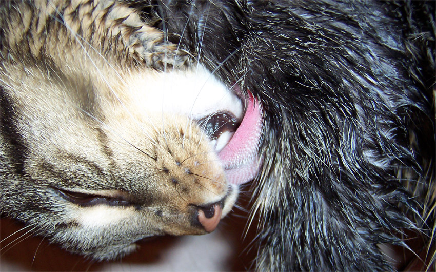 Photography by hephzibah for DesignCrowd (Community Contests) | Design #9080597