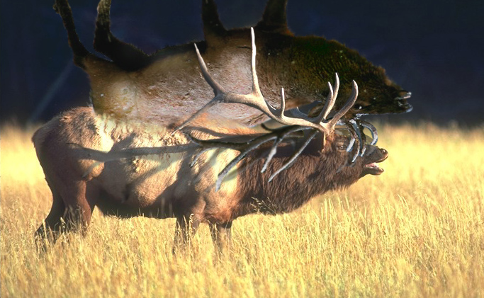 Design Photoshop par luker82 pour DesignCrowd (Community Contests) | Design #9077973