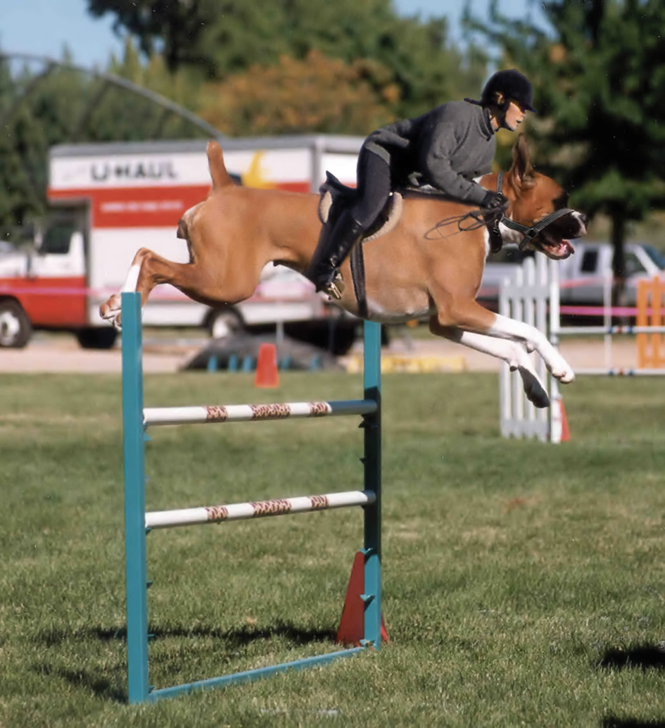 Photoshop Design by ulahts for DesignCrowd (Community Contests) | Design #9077972