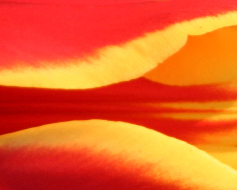 Fotografie von SigloV für DesignCrowd (Community Contests) | Design #9103642