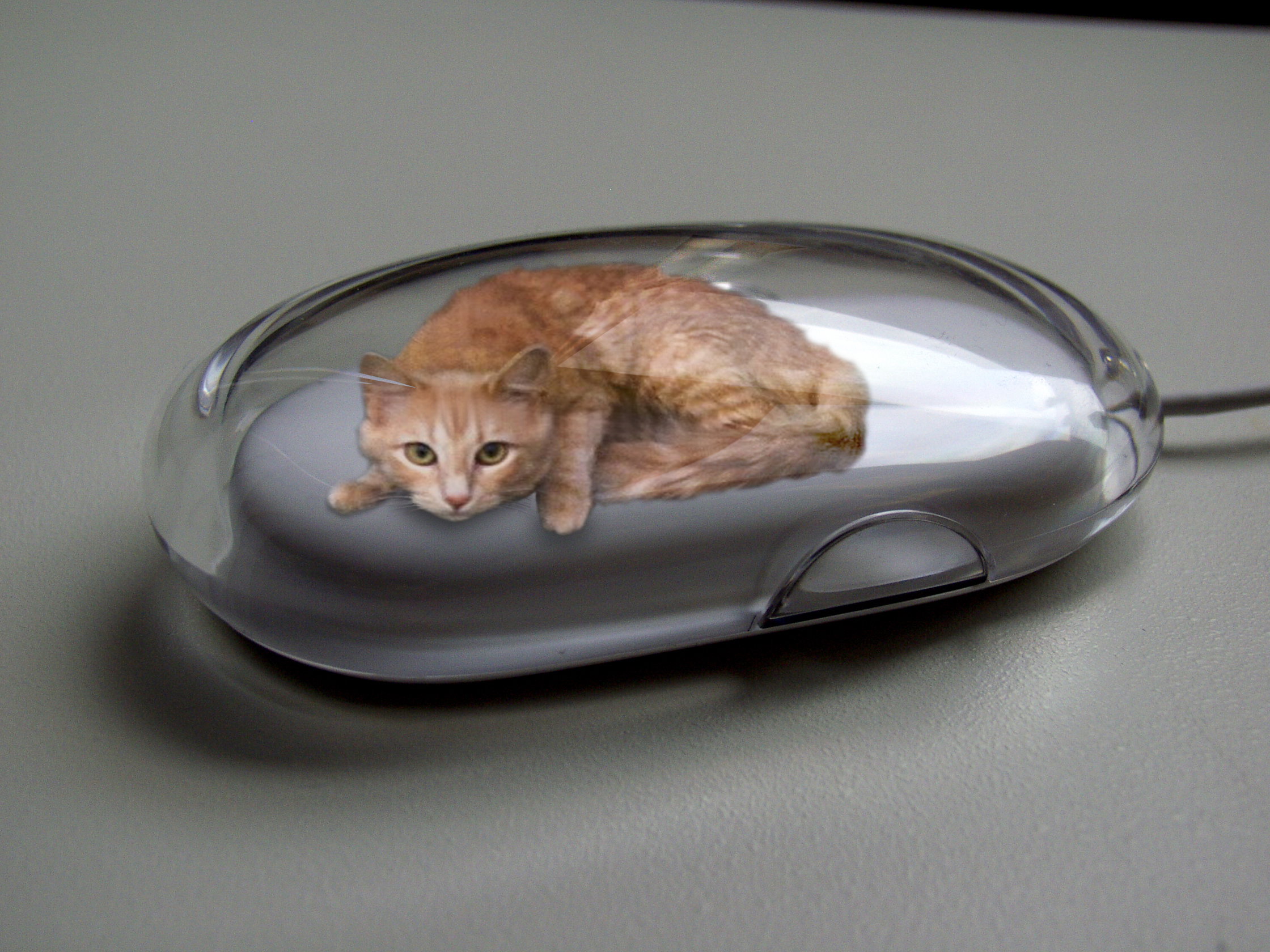 Photoshop-Design von dellville für DesignCrowd (Community Contests) | Design #9077977