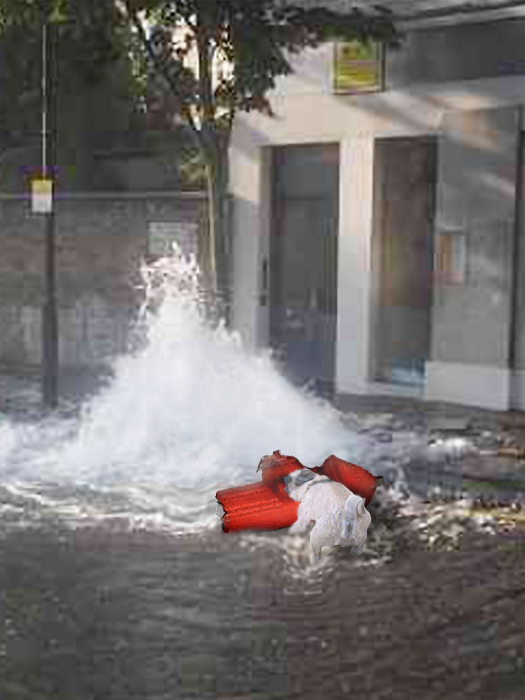 Photoshop Design by Lagnafinme for DesignCrowd (Community Contests) | Design #9078084