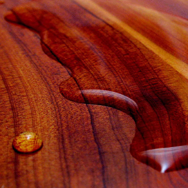 Photography by TampaDroid for DesignCrowd (Community Contests) | Design #9080530