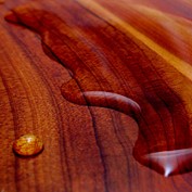 Photography by TampaDroid