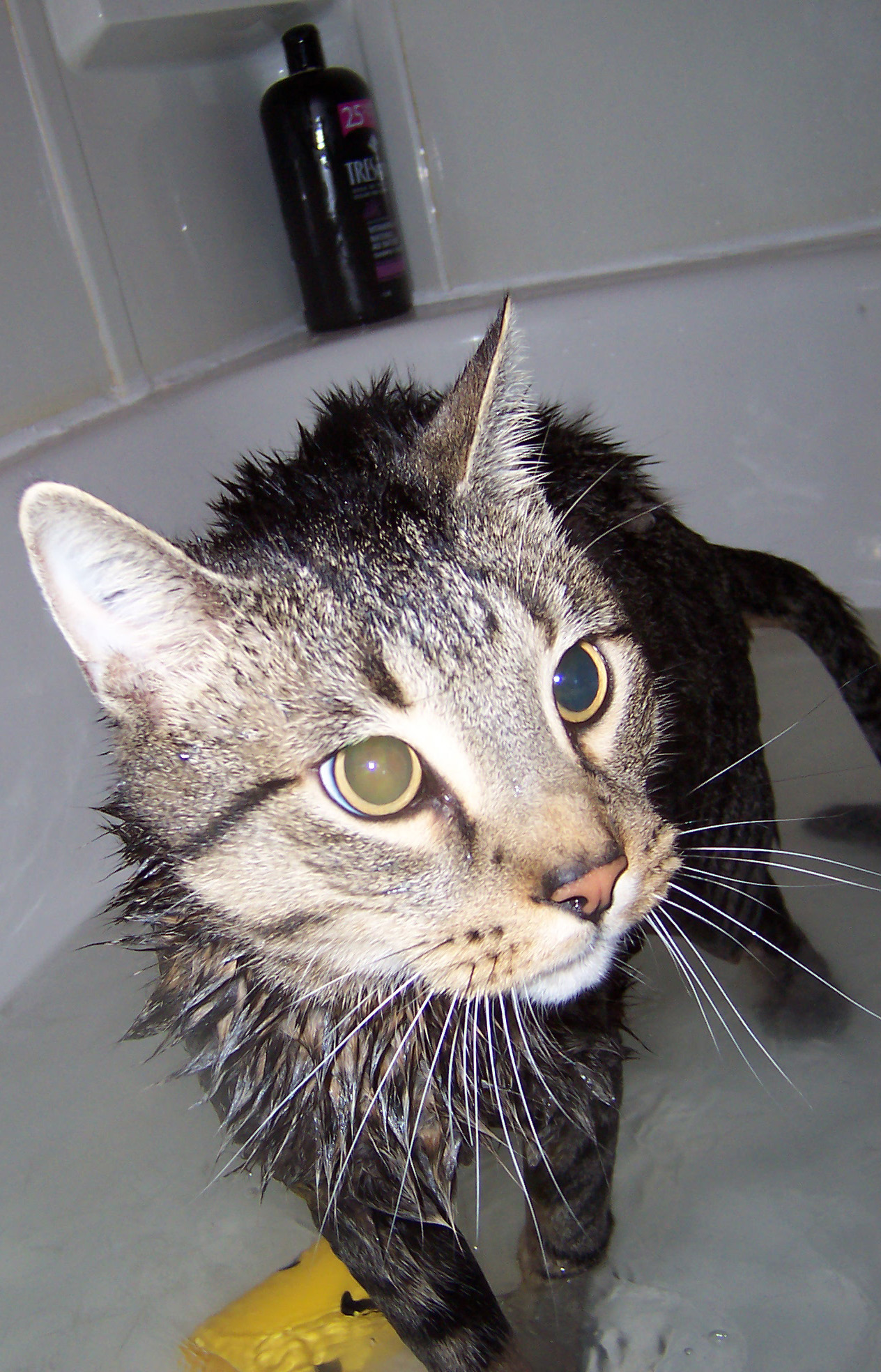 Photography by hephzibah for DesignCrowd (Community Contests) | Design #9102774