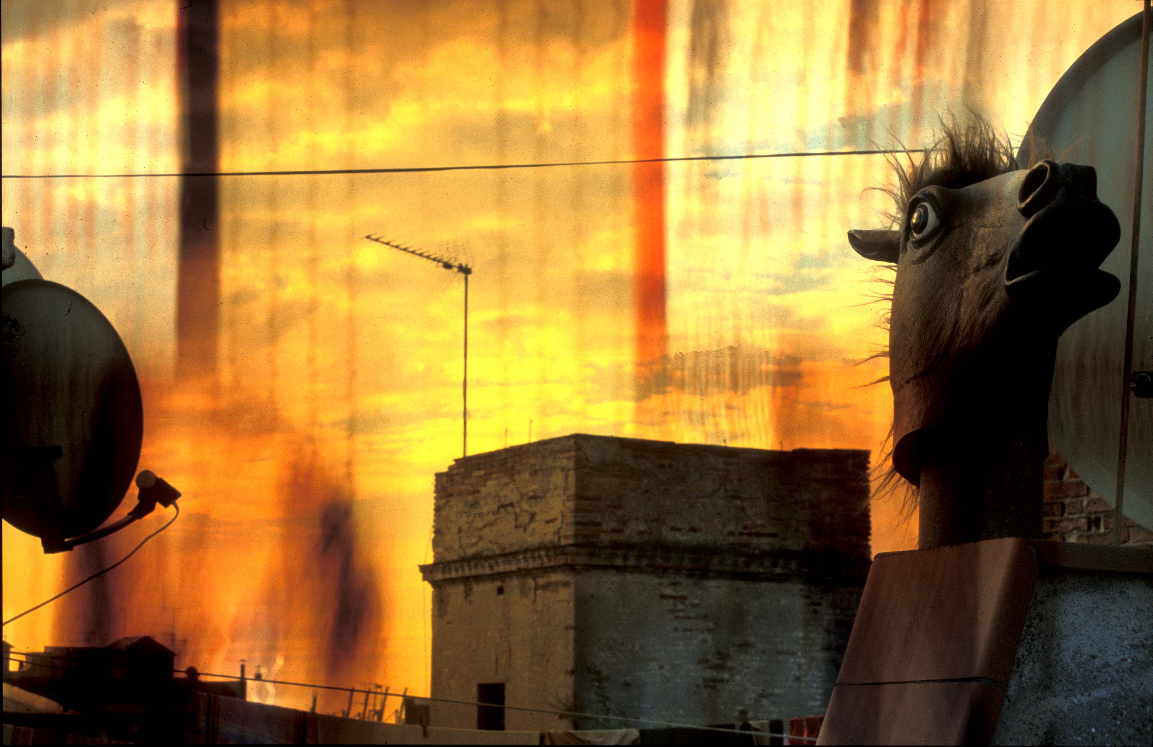 Photographie par rorrazo pour DesignCrowd (Community Contests) | Design #9103608