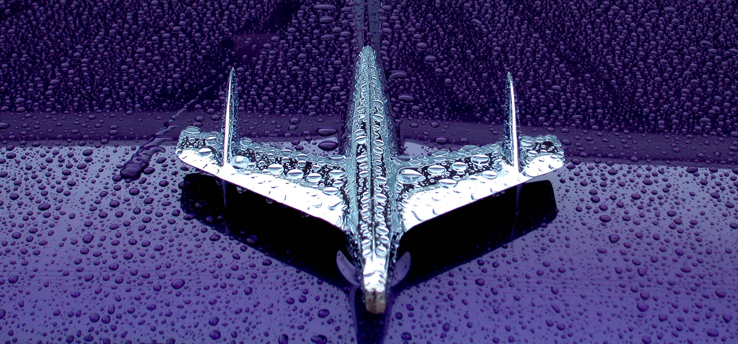 Photography by dsblack for DesignCrowd (Community Contests) | Design #9080540