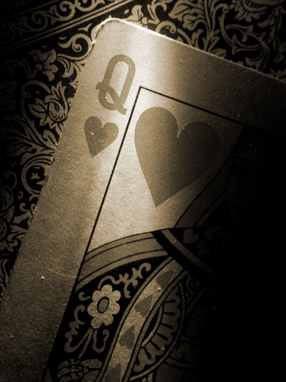 Photographie par Chemary pour DesignCrowd (Community Contests) | Design #9102809