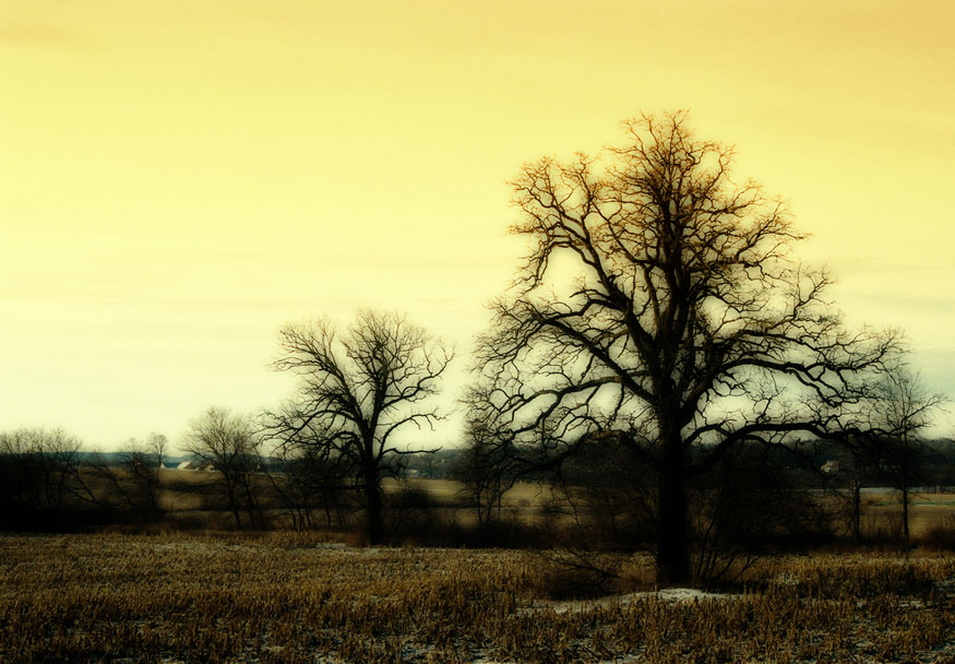 Photographie par Griblex pour DesignCrowd (Community Contests) | Design #9103831