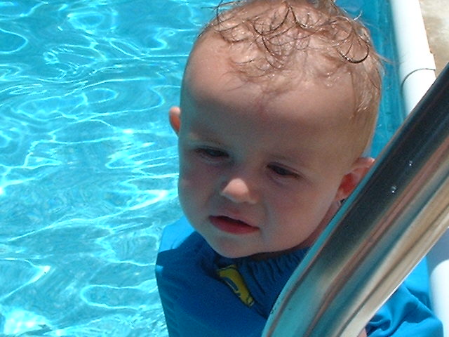 Photography by tweetybirdfan222 for DesignCrowd (Community Contests) | Design #9080743