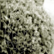 Photography by catwoman