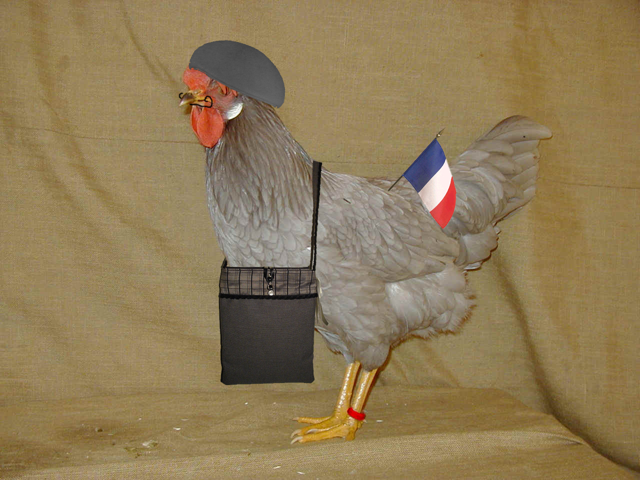 Photoshop-Design von Slipknotic für DesignCrowd (Community Contests) | Design #9089560