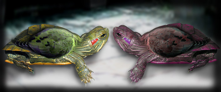 Photoshop Design by gremlenhunter for DesignCrowd (Community Contests) | Design #9089581