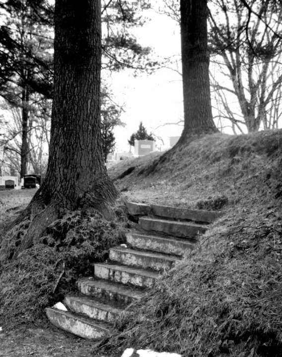 Photography by FlowerofTelperion for DesignCrowd (Community Contests) | Design #9102763