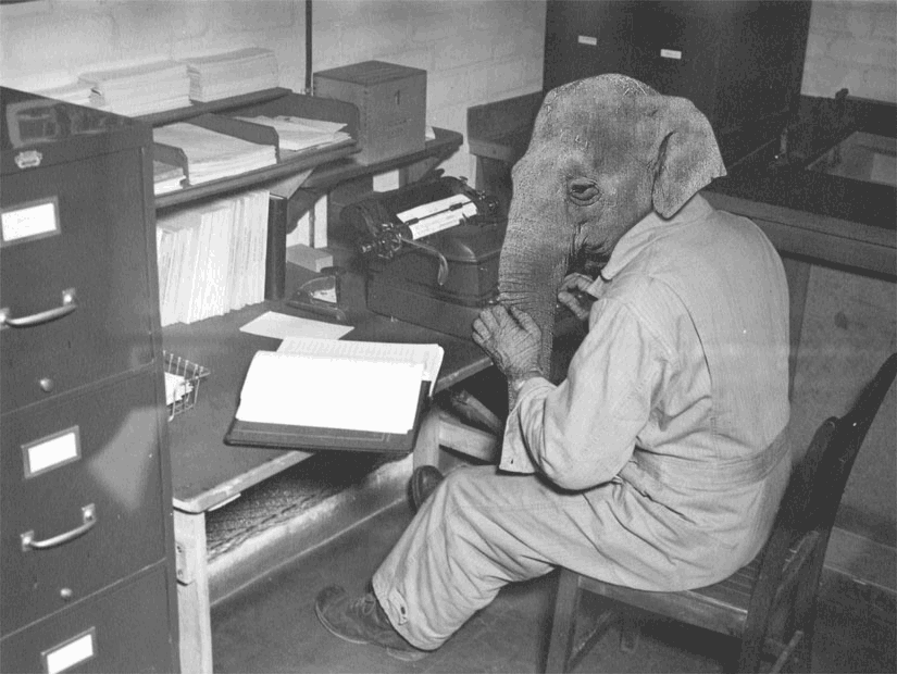 Photoshop Design by PixlPshr for DesignCrowd (Community Contests) | Design #9089605