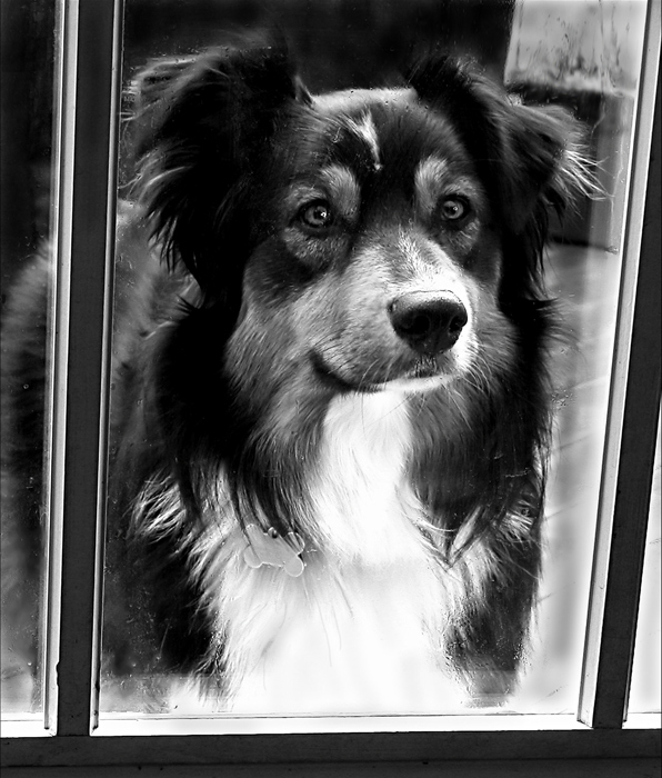 Fotografie von lilmart für DesignCrowd (Community Contests) | Design #9102429