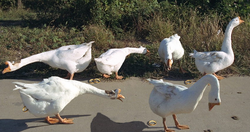 Diseño de Photoshop por Snowcrash para DesignCrowd (Community Contests) | Diseño #9089630