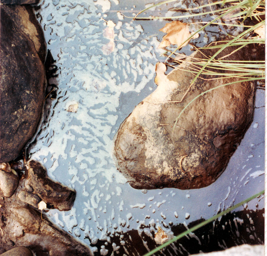 Photography by Ivor121 for DesignCrowd (Community Contests) | Design #9103788