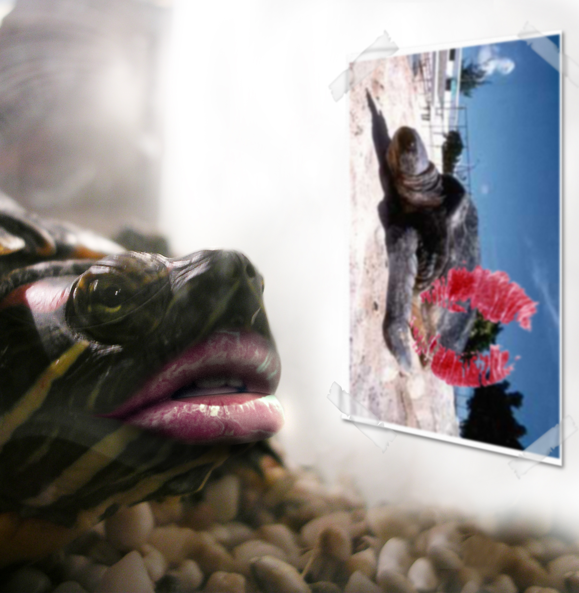 Photoshop Design by rafvdv for DesignCrowd (Community Contests) | Design #9089671