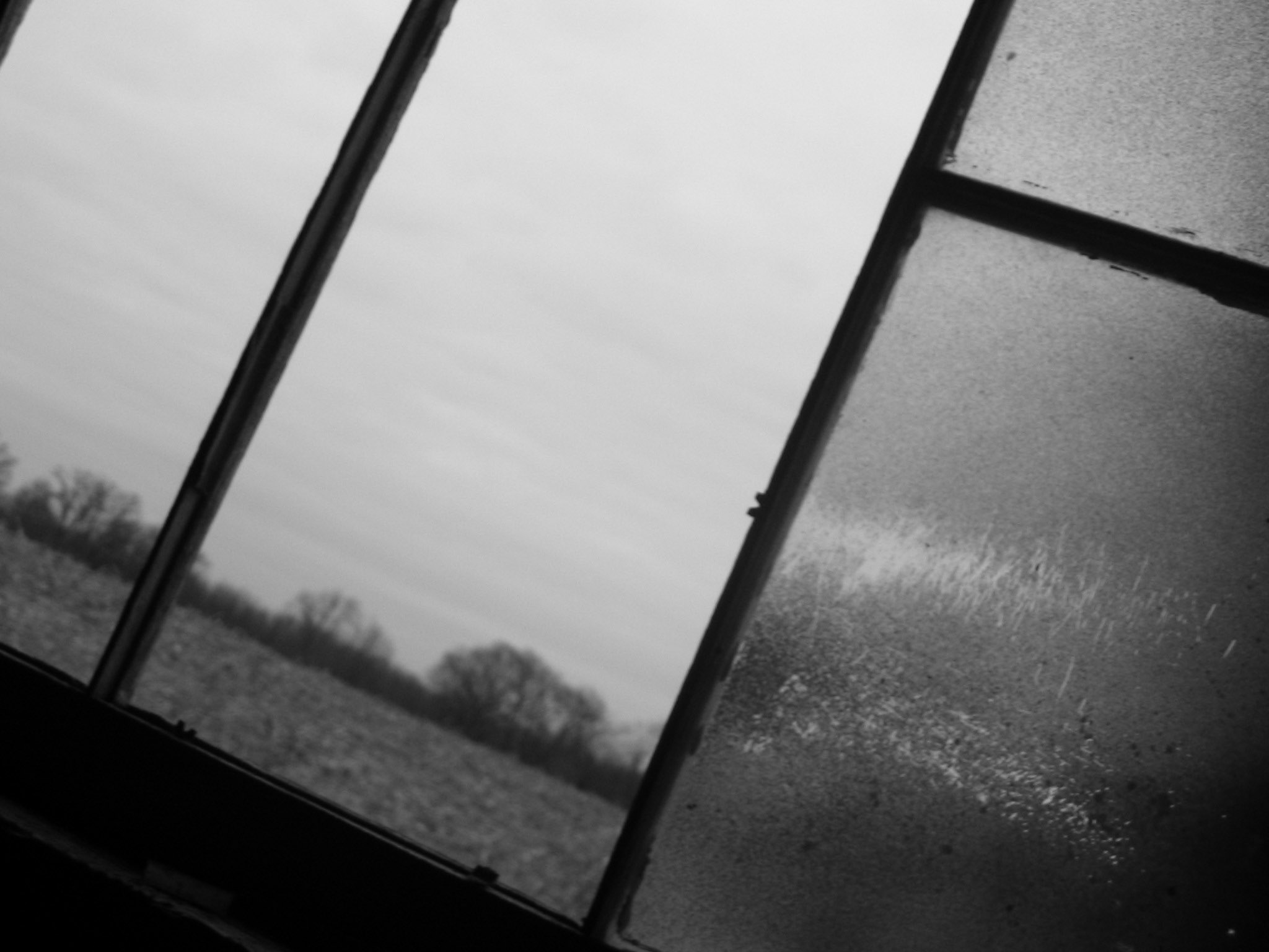 Fotografie von cozmo87 für DesignCrowd (Community Contests) | Design #9102498