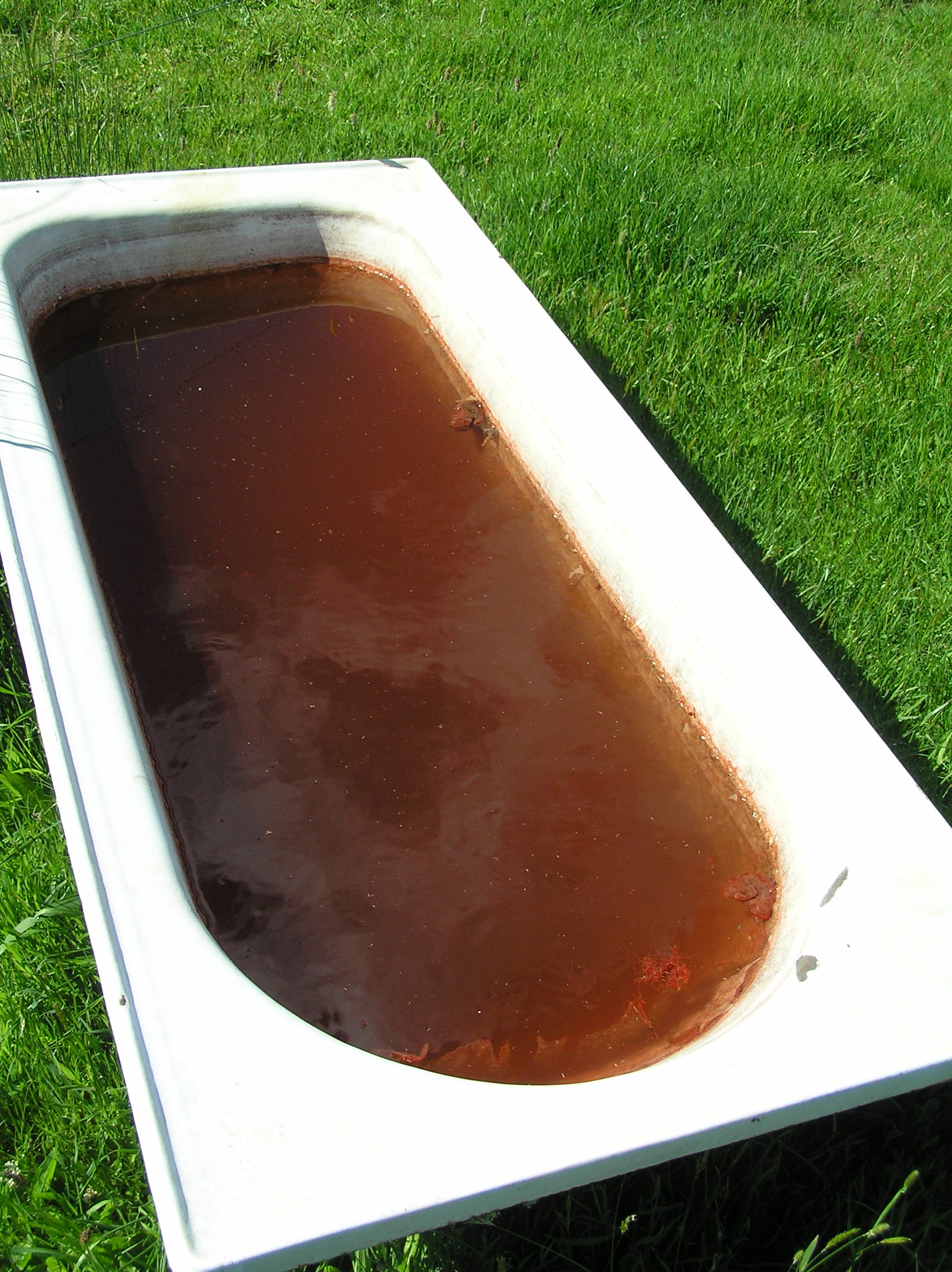 Photography by virtualstrauss for DesignCrowd (Community Contests) | Design #9103790