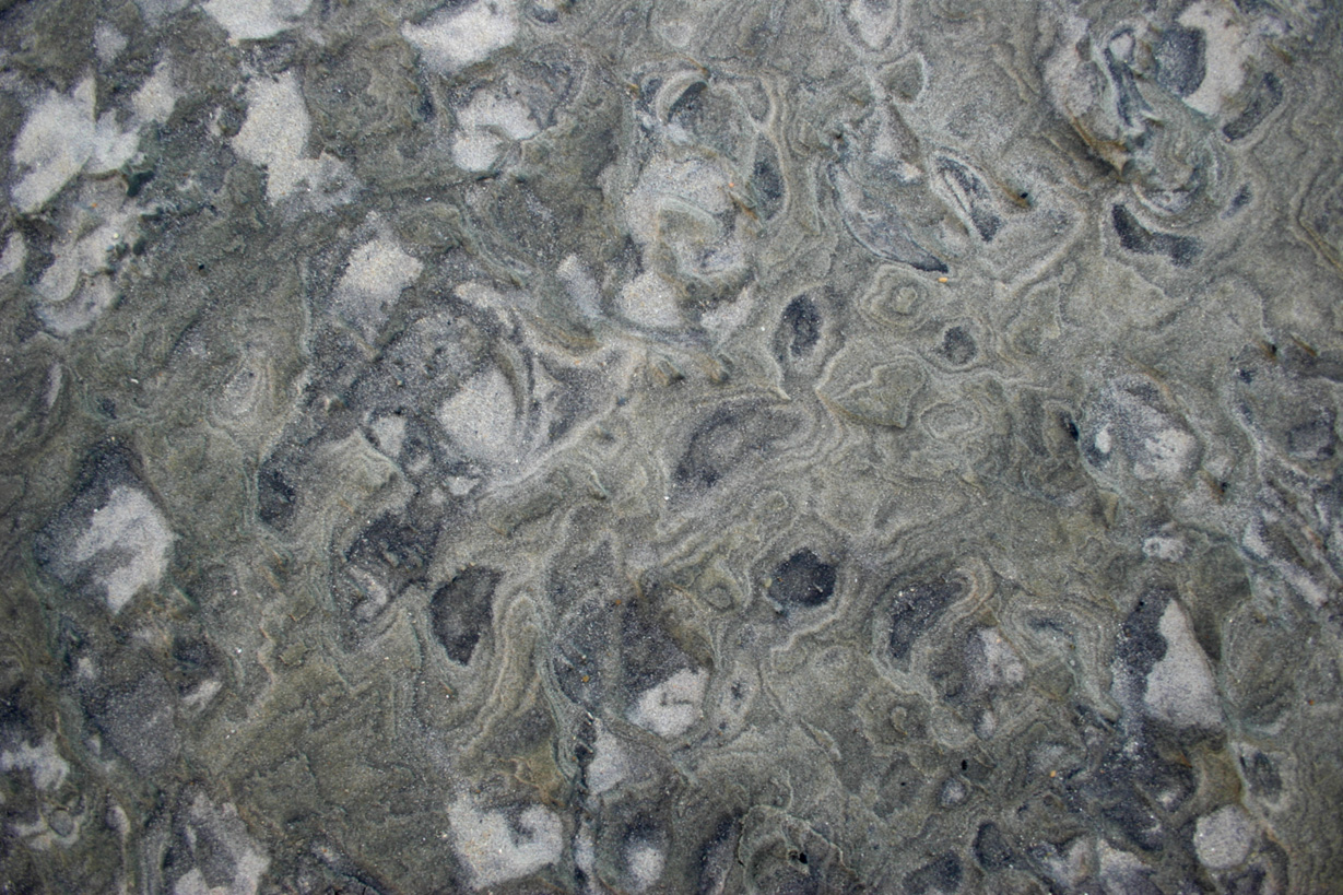 Fotografie von paulbillett für DesignCrowd (Community Contests) | Design #9103748