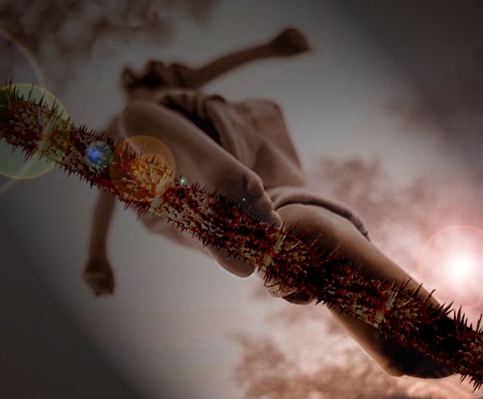 Diseño de Photoshop por Jubilee para DesignCrowd (Community Contests) | Diseño #9104902