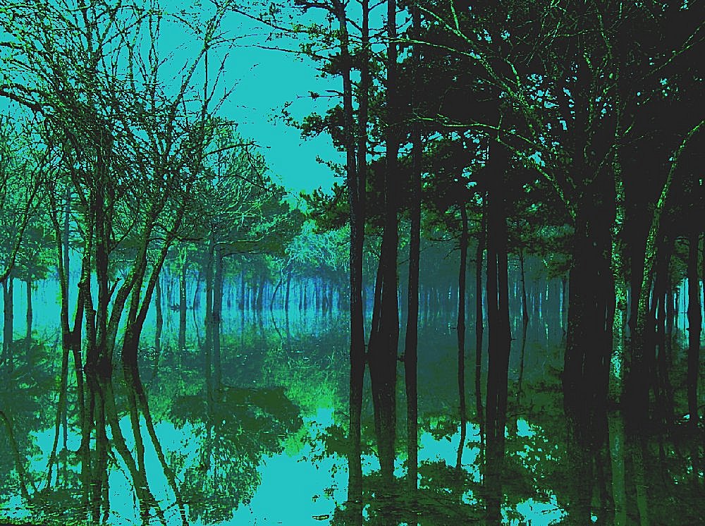 Photography by CSC10000 for DesignCrowd (Community Contests) | Design #9103720