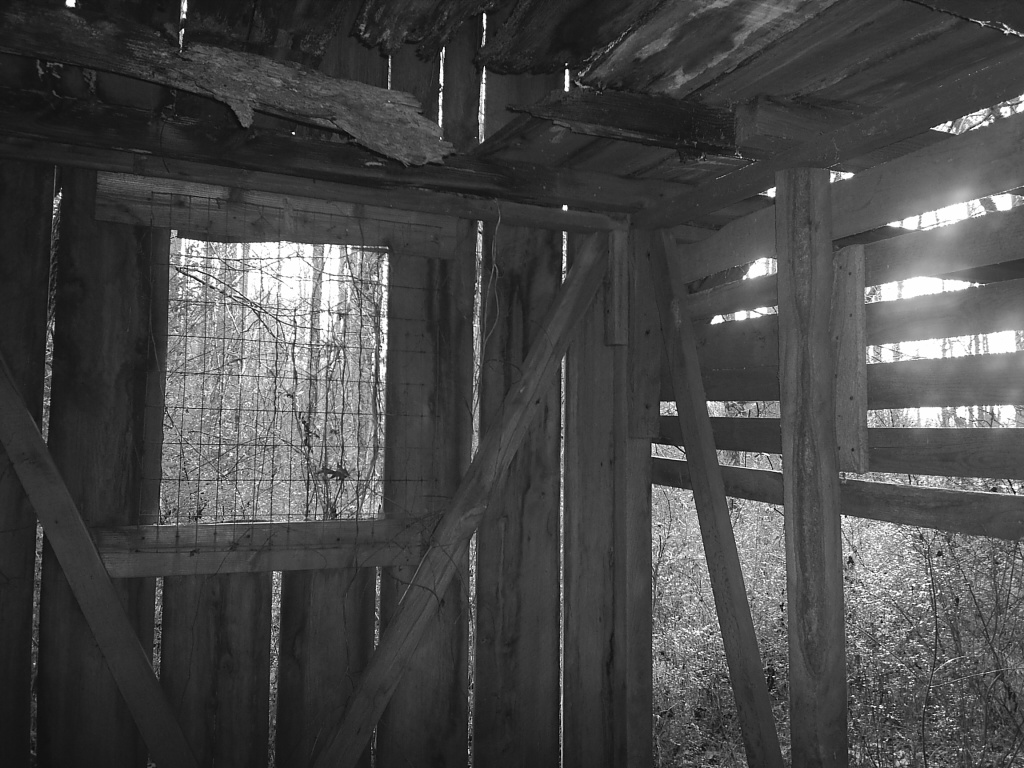 Photographie par cicisunflower pour DesignCrowd (Community Contests) | Design #9102538