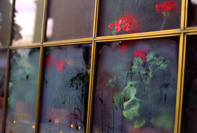 Photography by oteimages for DesignCrowd (Community Contests) | Design #9102583