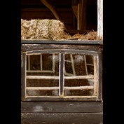 Photography by Marian