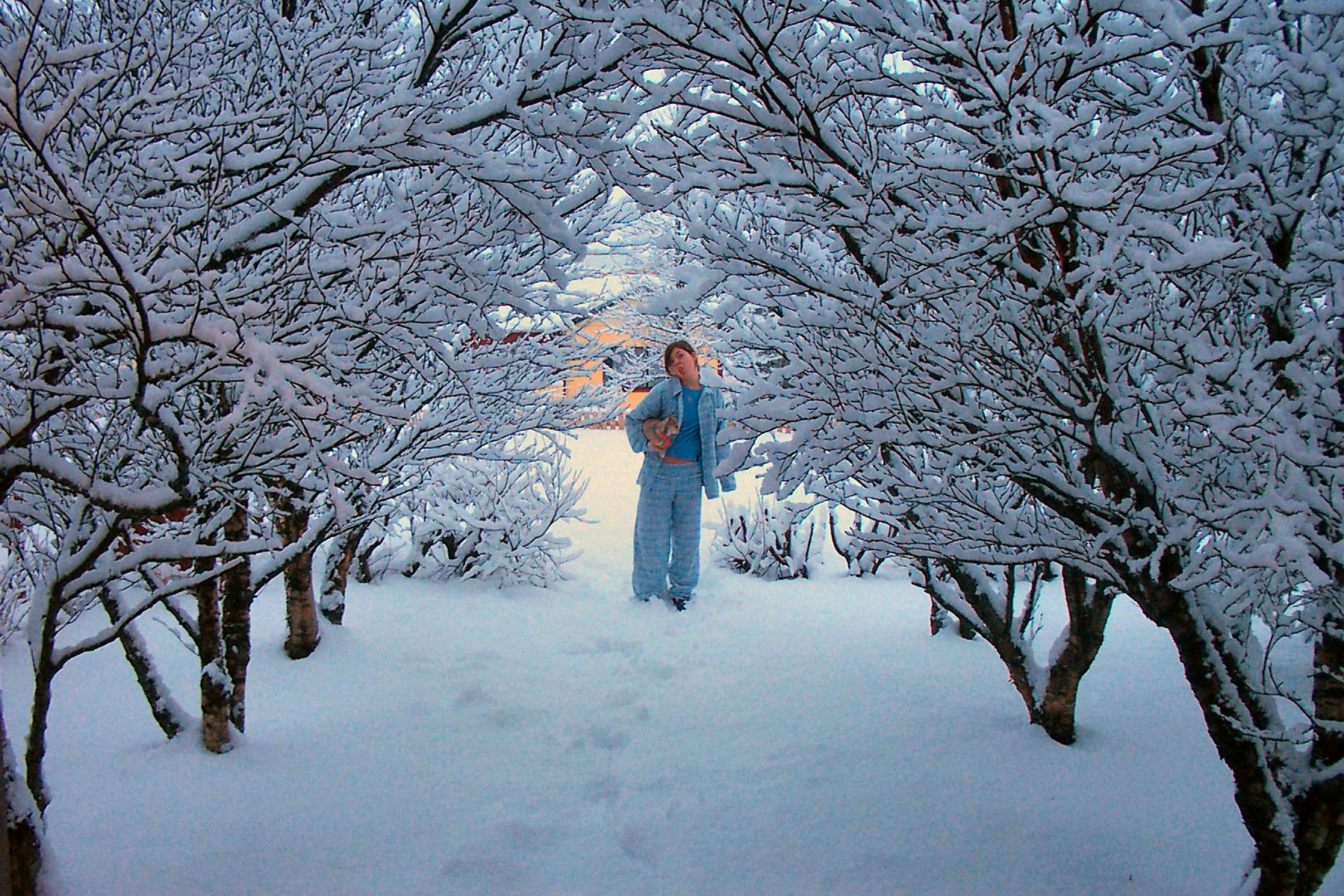 Fotografie von Maddyy für DesignCrowd (Community Contests) | Design #9101056