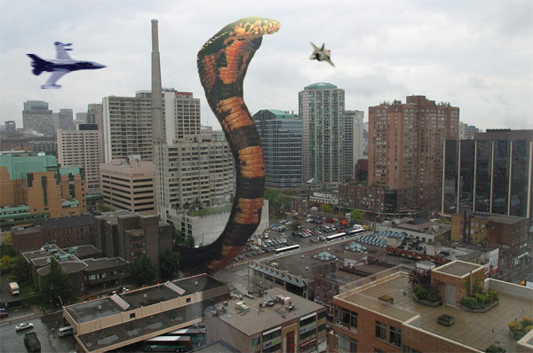 Photoshop Design by tubloko for DesignCrowd (Community Contests) | Design #9102815