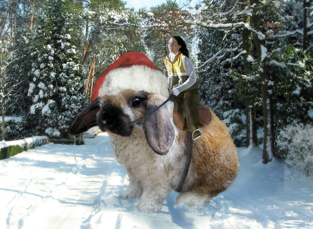 Photoshop Design by Adriaan for DesignCrowd (Community Contests) | Design #9102824