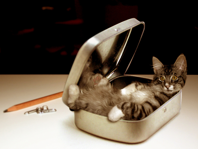 Photoshop Design by 123lezy for DesignCrowd (Community Contests) | Design #9102857