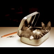 Photoshop Design by 123lezy