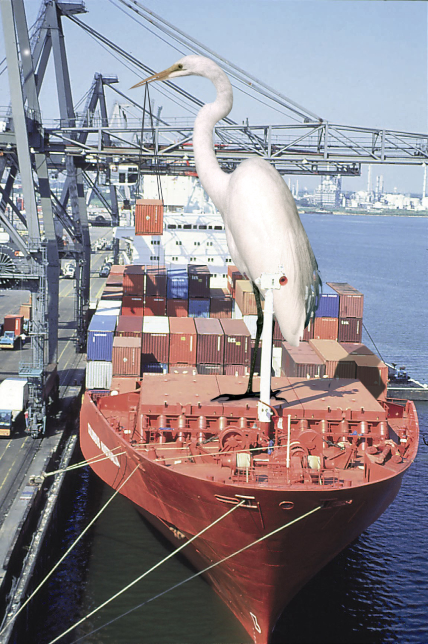 Photoshop Design by Threedeenow for DesignCrowd (Community Contests) | Design #9102847