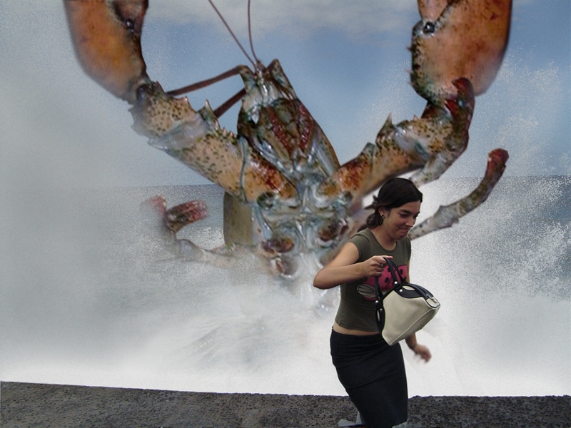 Photoshop Design by Houben for DesignCrowd (Community Contests) | Design #9102846